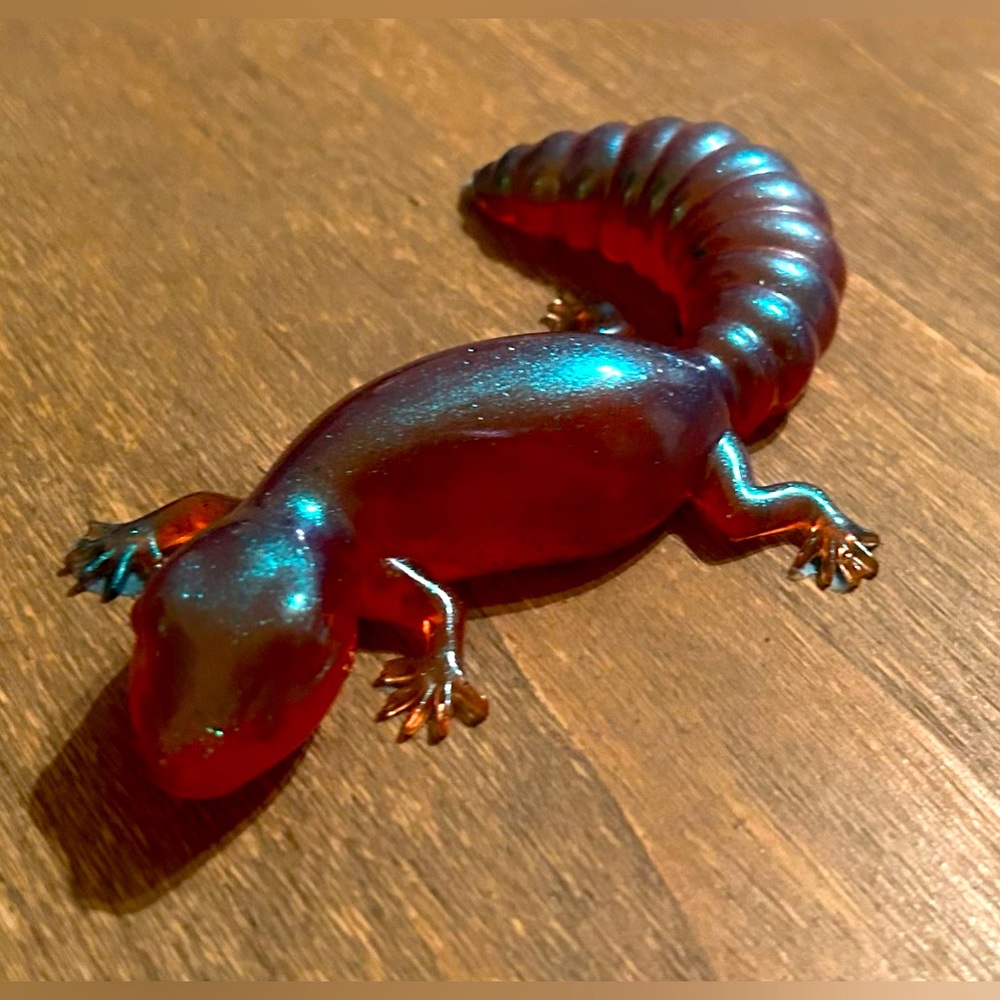 Lezards - Picture 7 of 7